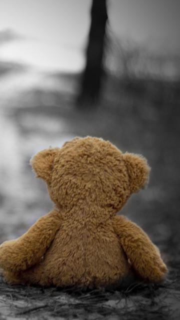 Sfondi Lost Teddy Bear 360x640