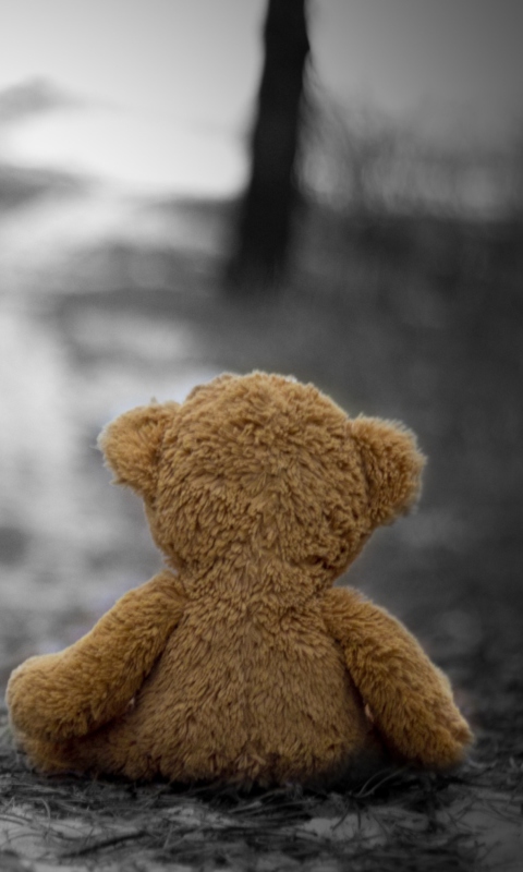 Sfondi Lost Teddy Bear 480x800