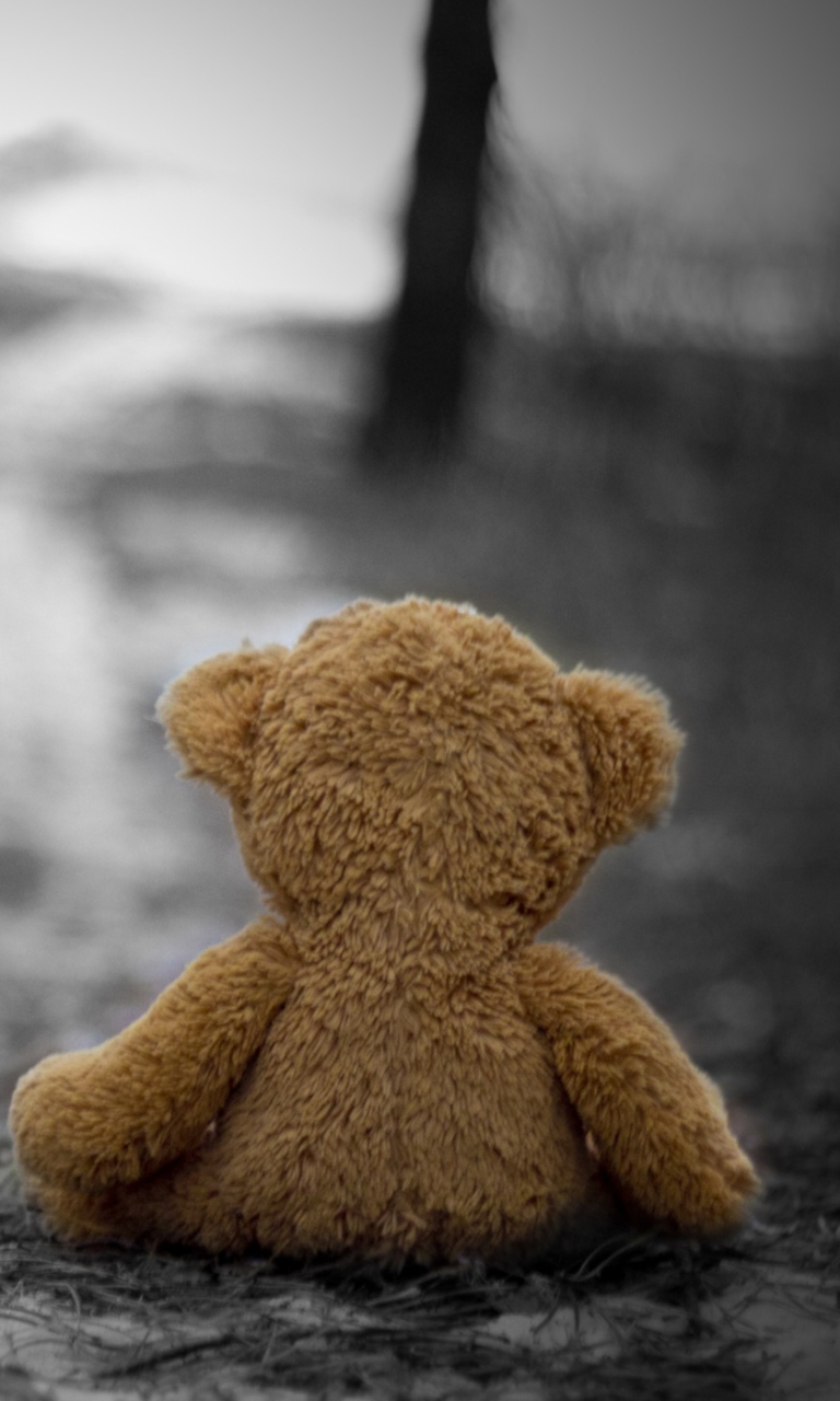 Lost Teddy Bear wallpaper 768x1280