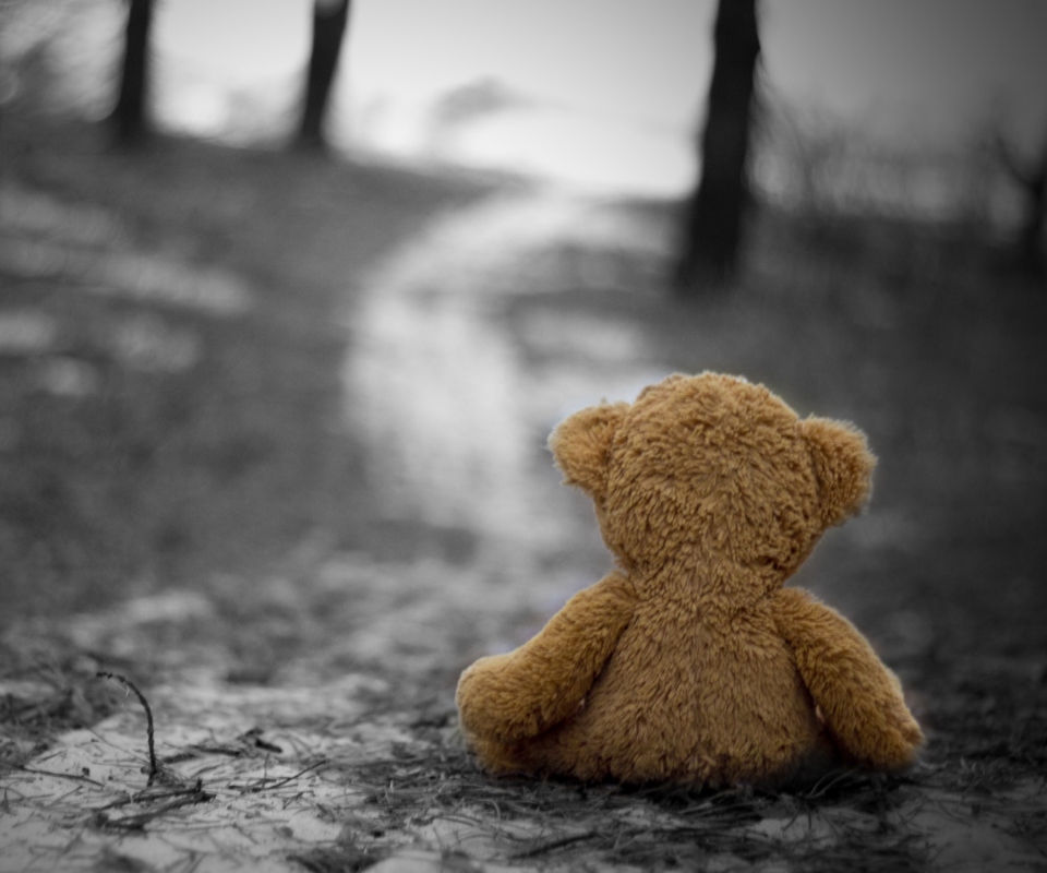 Lost Teddy Bear screenshot #1 960x800