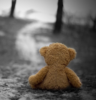 Lost Teddy Bear sfondi gratuiti per iPad mini