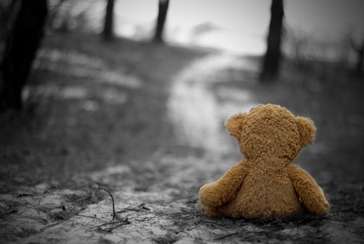 Lost Teddy Bear wallpaper