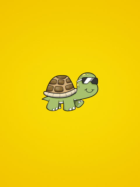 Обои Turtle In Sunglasses 480x640