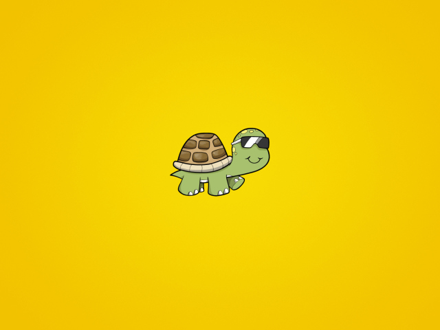 Обои Turtle In Sunglasses 640x480