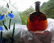 Martell Cognac screenshot #1 220x176
