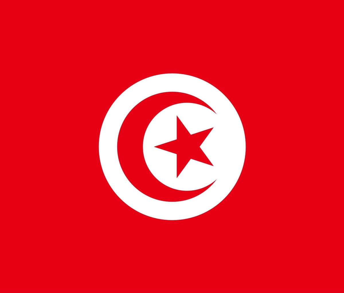 Fondo de pantalla Flag of Tunisia 1200x1024