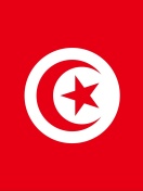 Fondo de pantalla Flag of Tunisia 132x176