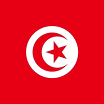 Fondo de pantalla Flag of Tunisia 208x208
