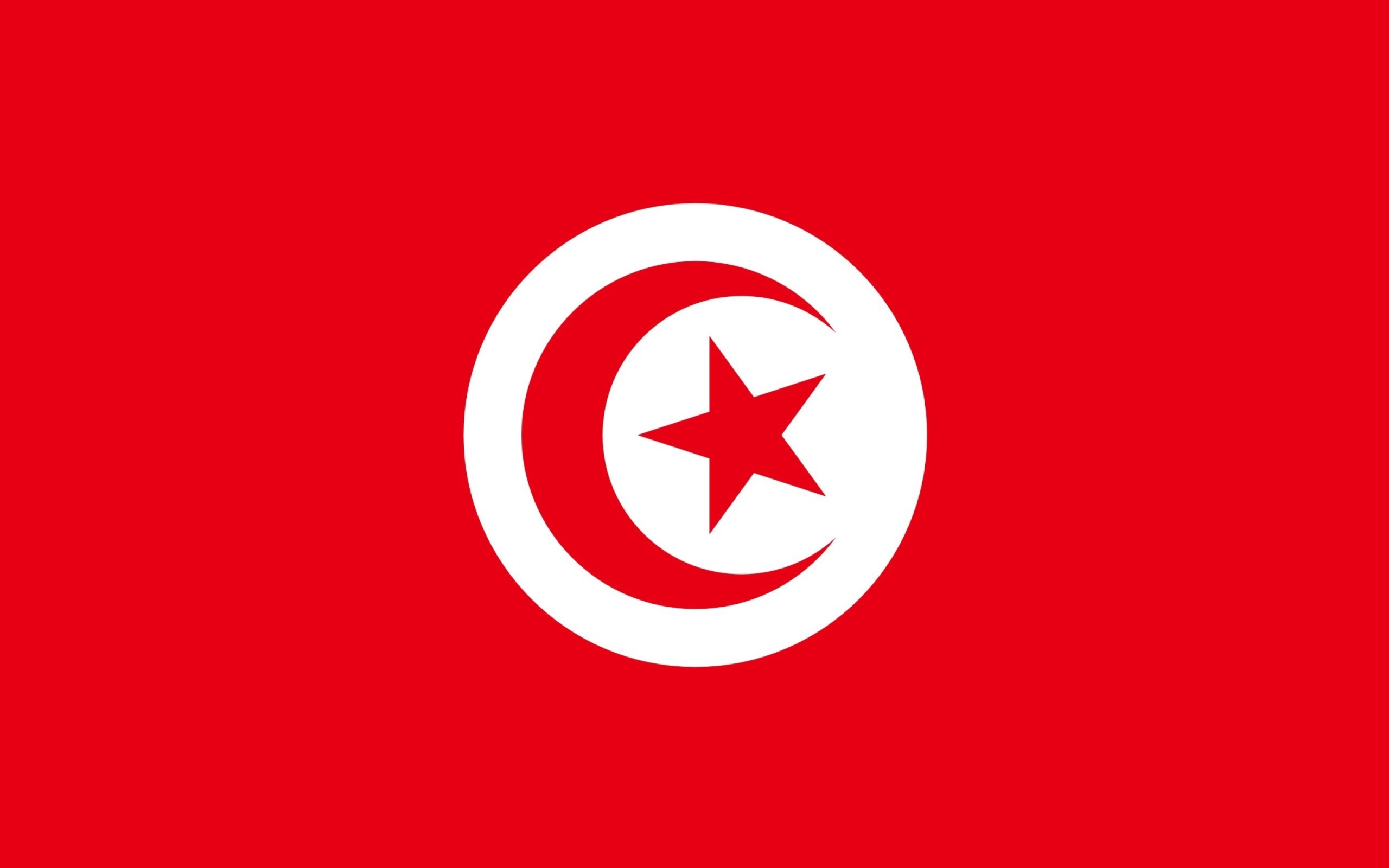 Fondo de pantalla Flag of Tunisia 2560x1600