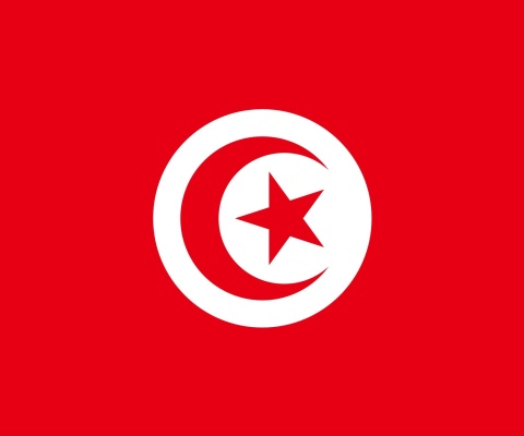 Fondo de pantalla Flag of Tunisia 480x400