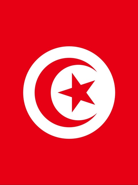 Flag of Tunisia screenshot #1 480x640