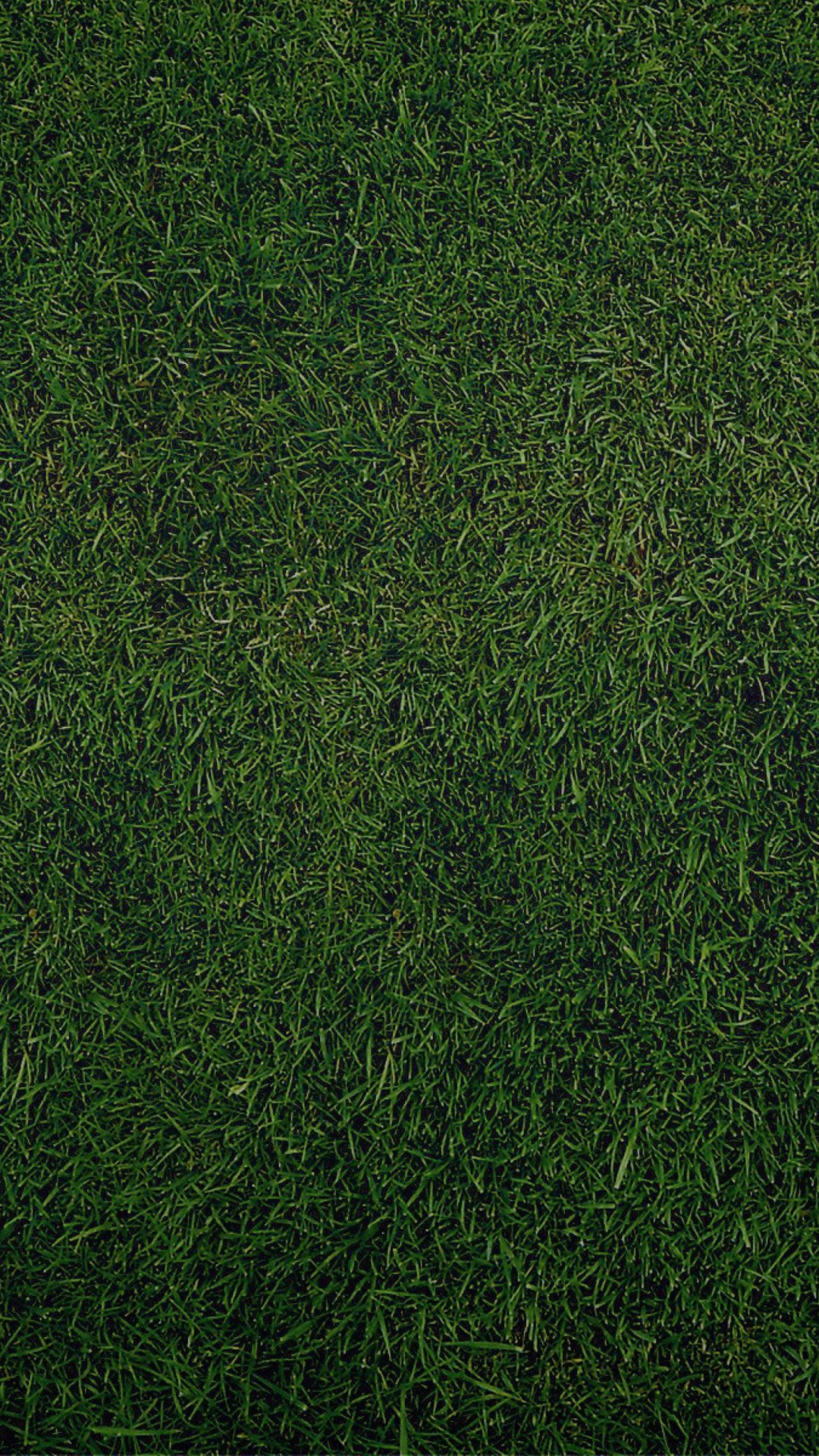 Screenshot №1 pro téma Green Grass Background 1080x1920