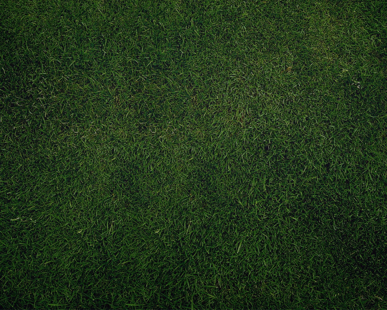 Обои Green Grass Background 1280x1024