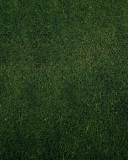 Обои Green Grass Background 128x160