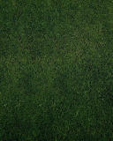 Green Grass Background wallpaper 128x160