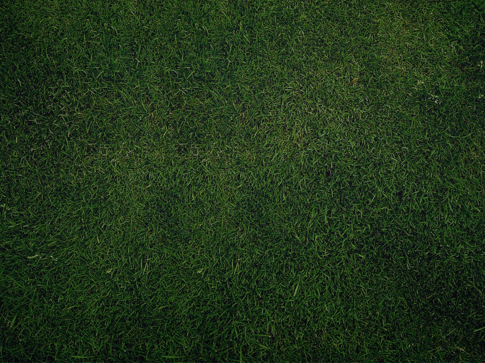Green Grass Background screenshot #1 1600x1200