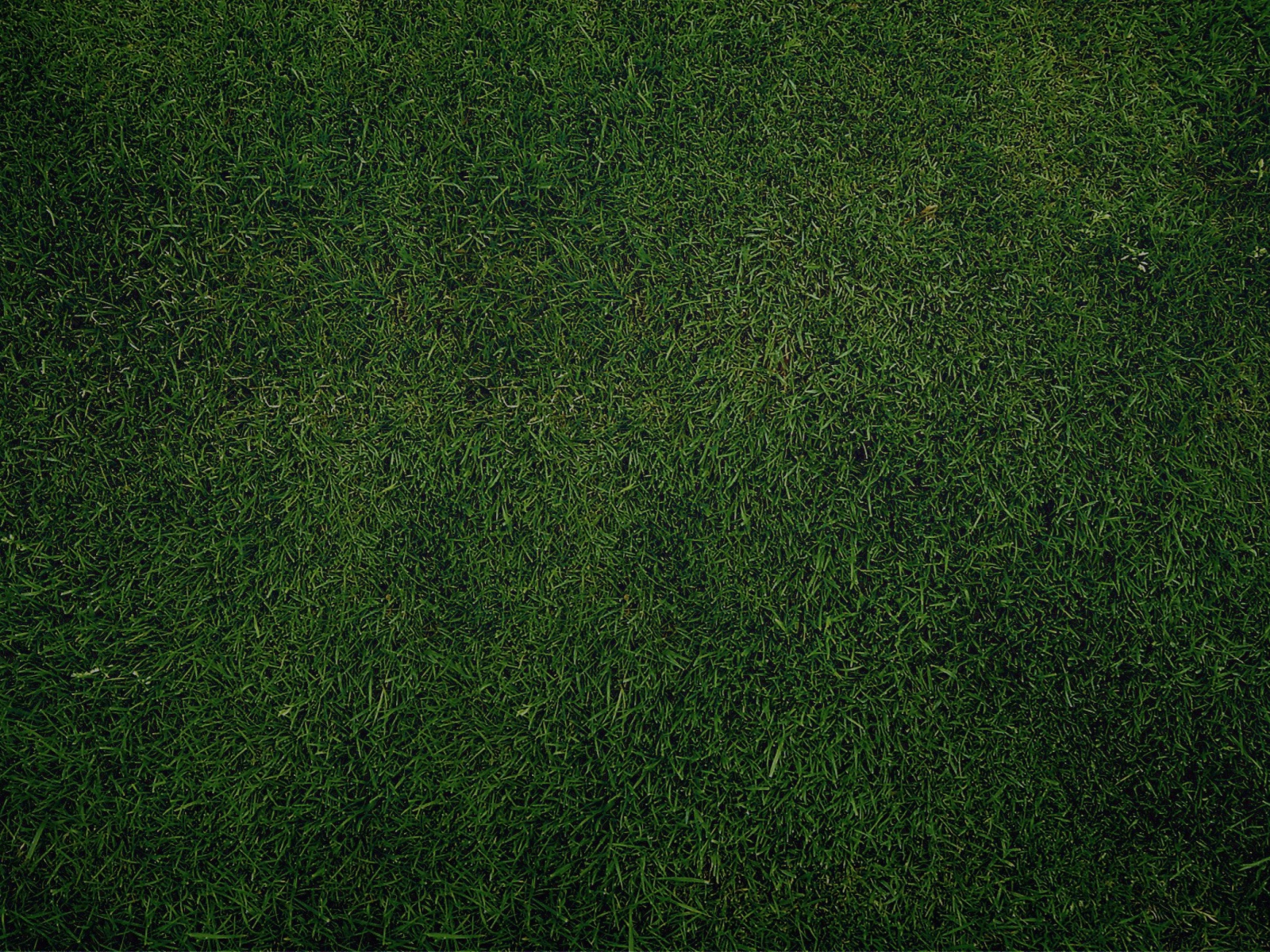 Green Grass Background wallpaper 1600x1200