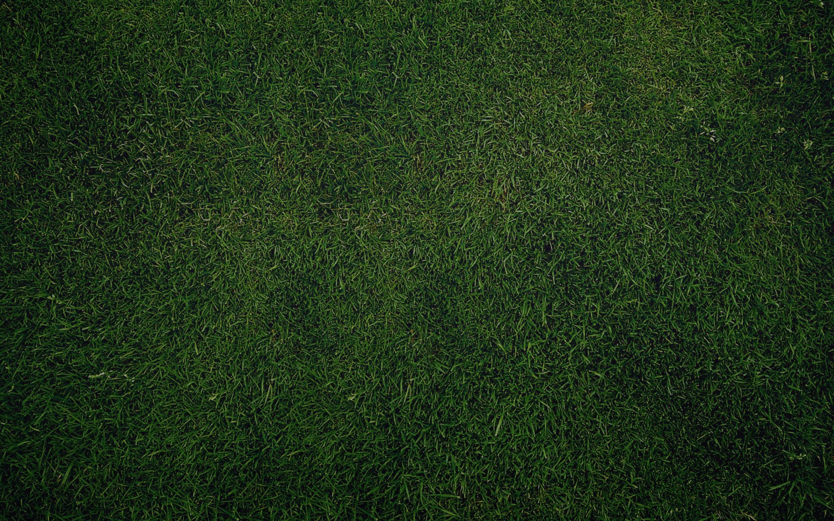 Screenshot №1 pro téma Green Grass Background 1680x1050