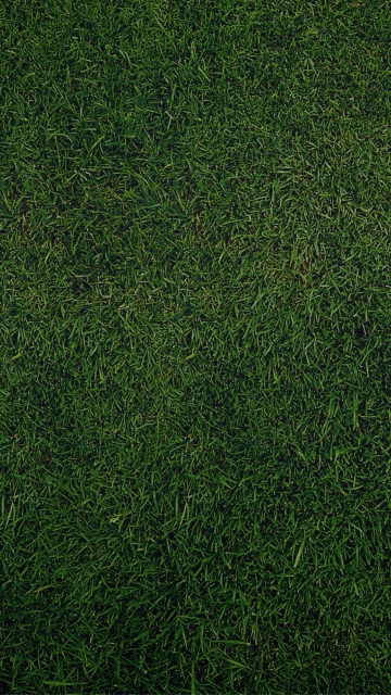 Das Green Grass Background Wallpaper 360x640