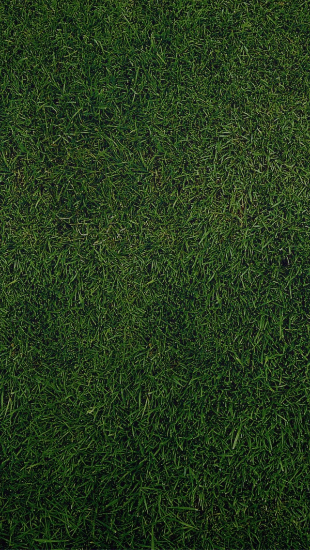 Green Grass Background wallpaper 640x1136