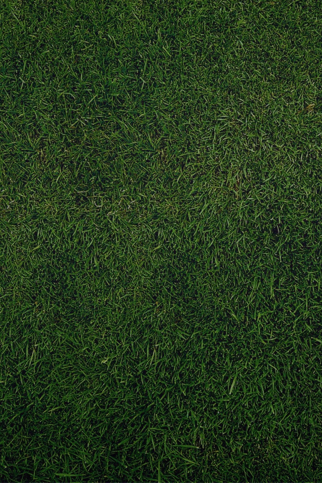 Green Grass Background wallpaper 640x960
