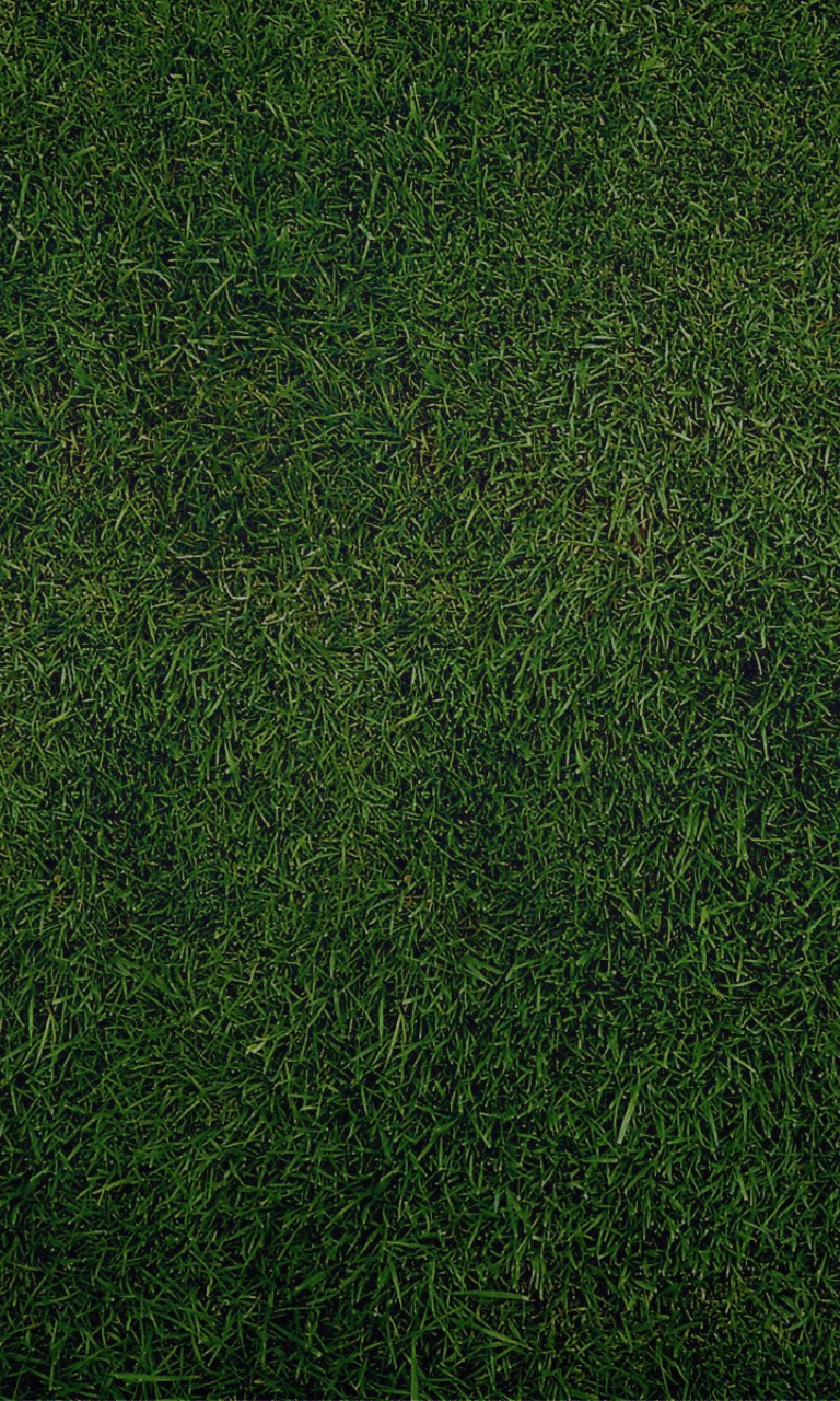 Screenshot №1 pro téma Green Grass Background 768x1280