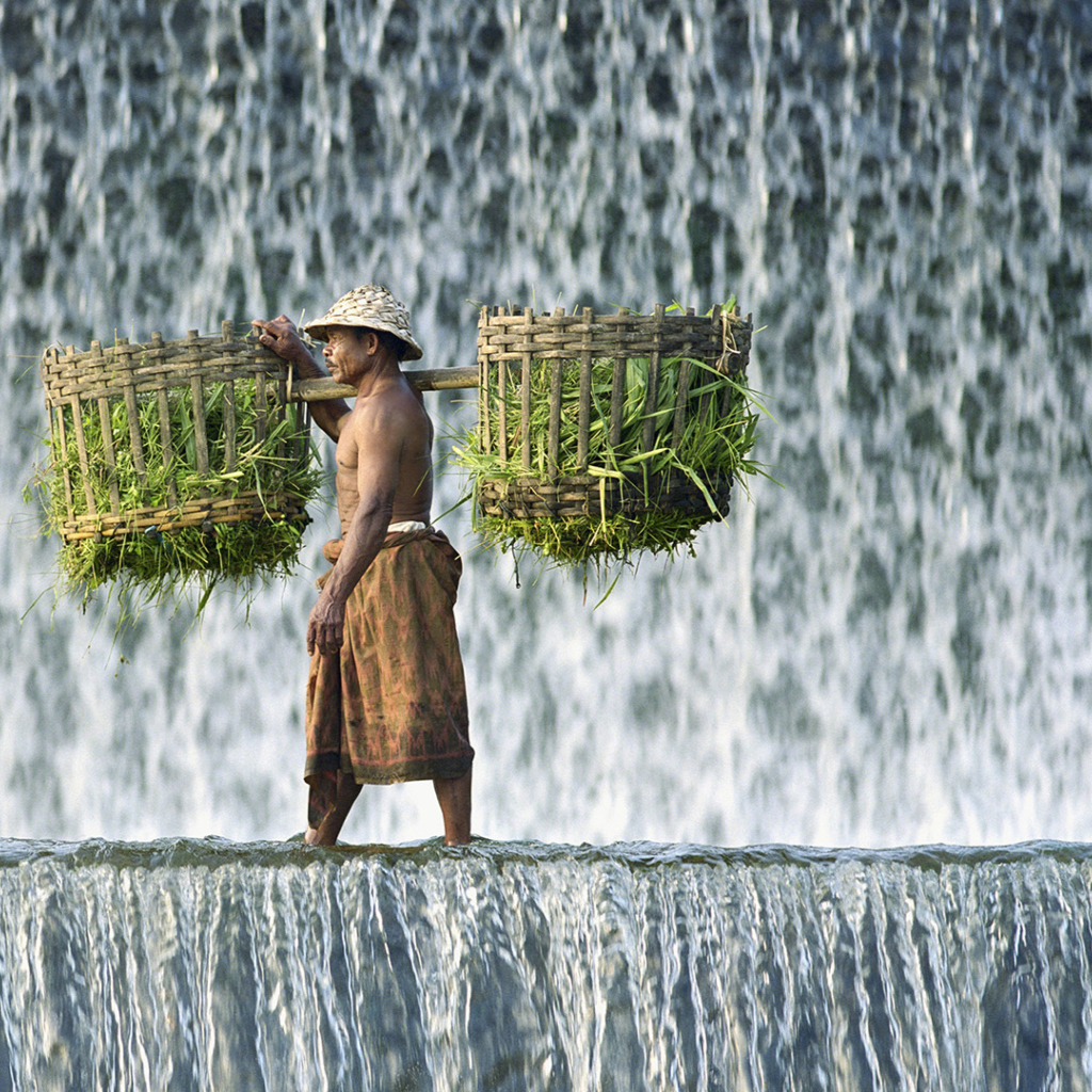 Vietnamese Farmer screenshot #1 1024x1024