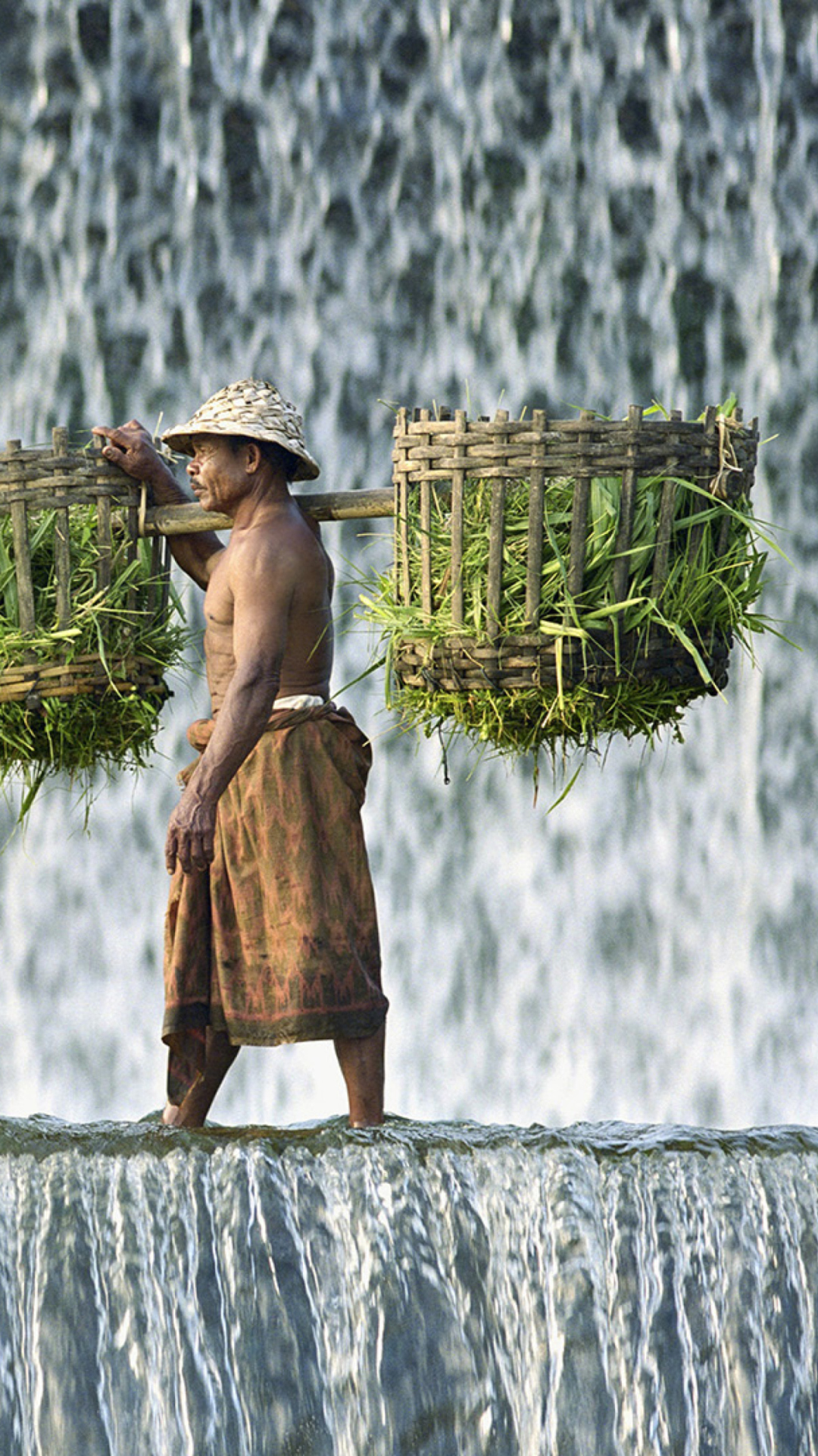 Fondo de pantalla Vietnamese Farmer 1080x1920