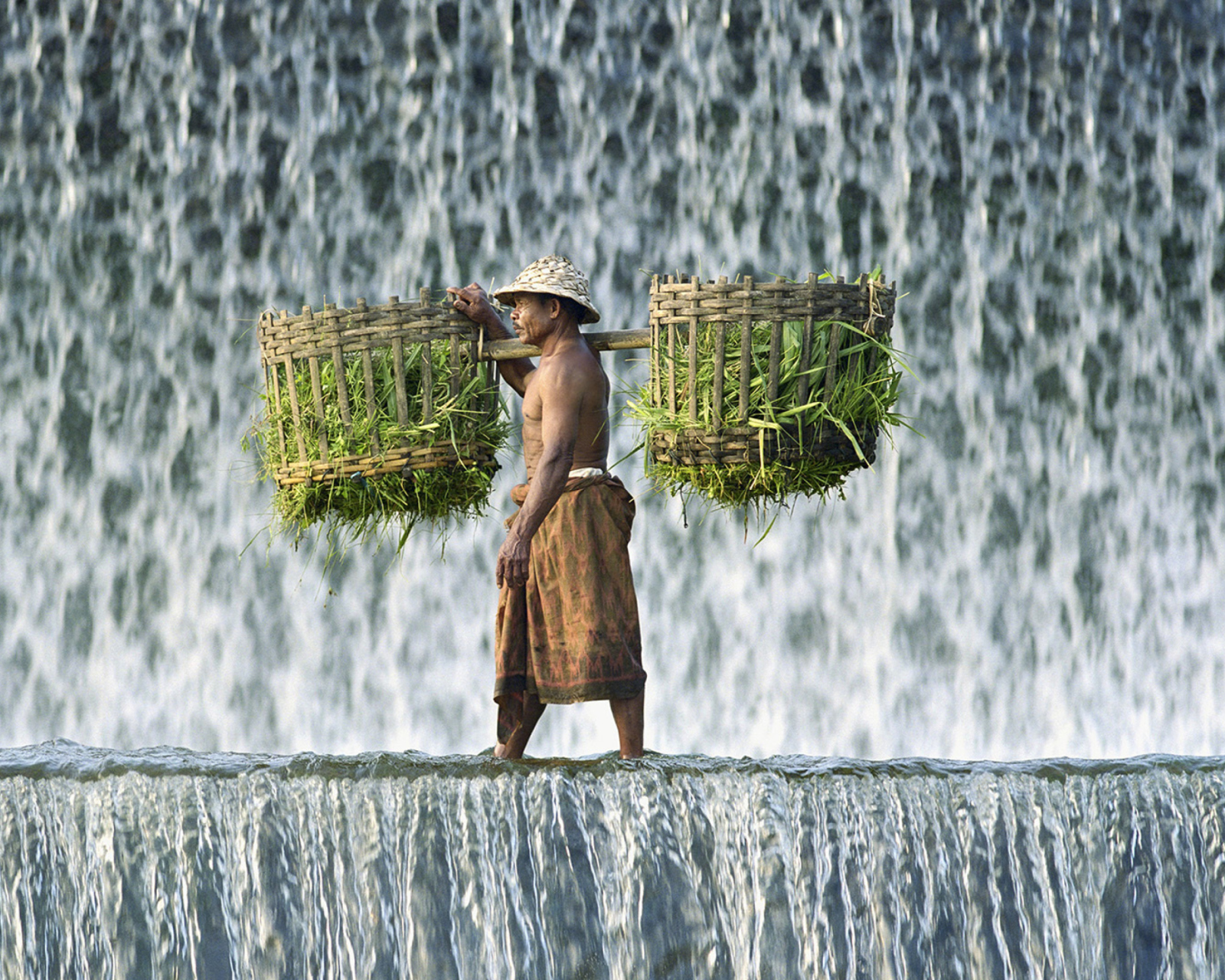 Vietnamese Farmer screenshot #1 1600x1280