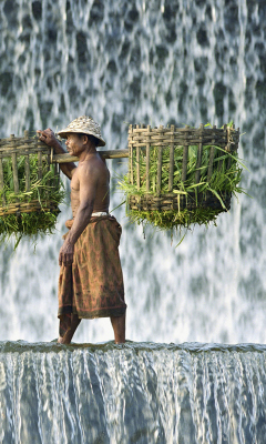 Vietnamese Farmer screenshot #1 240x400