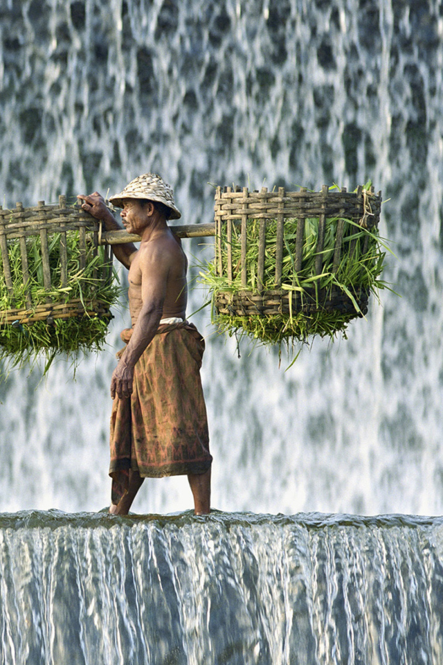Das Vietnamese Farmer Wallpaper 640x960