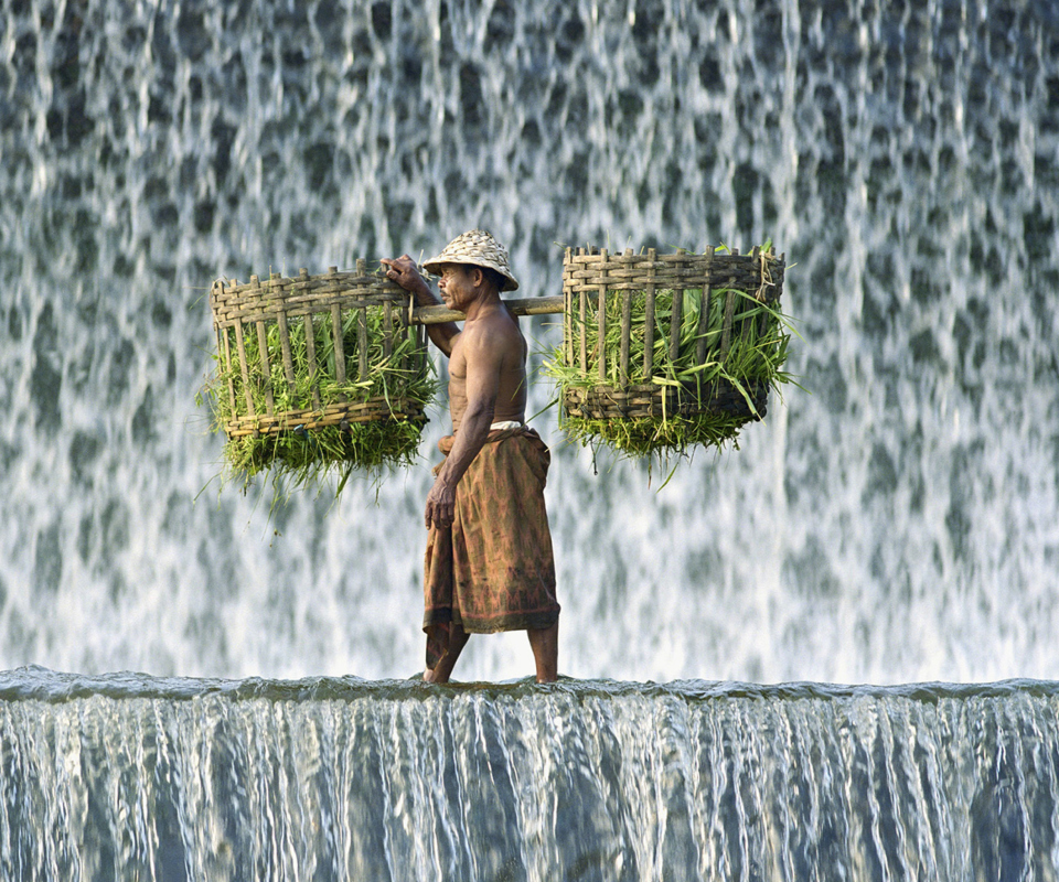 Vietnamese Farmer screenshot #1 960x800