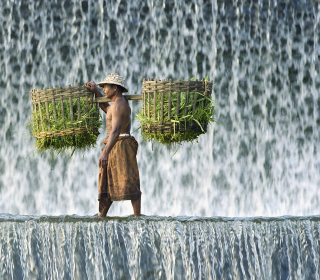 Vietnamese Farmer sfondi gratuiti per iPad 2