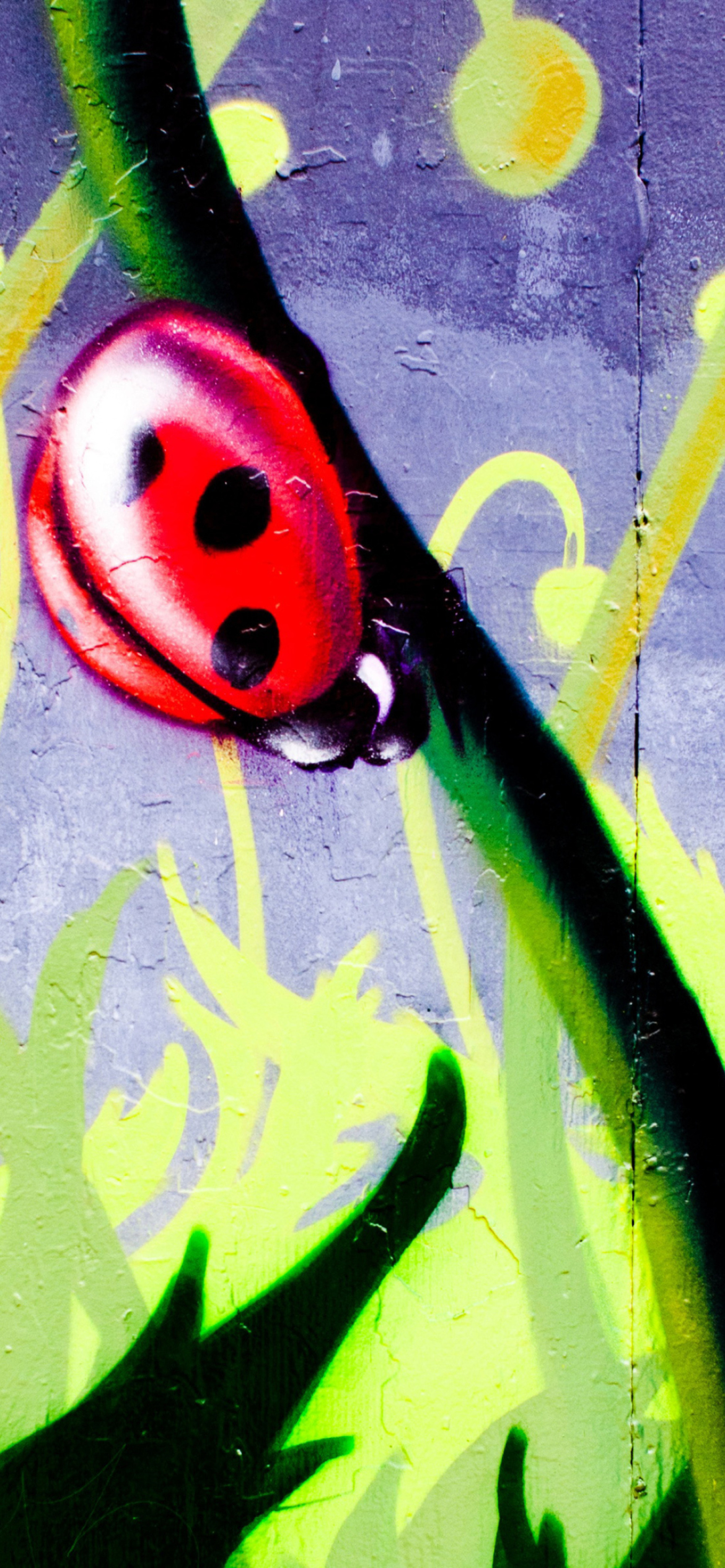 Ladybug Painting wallpaper 1170x2532