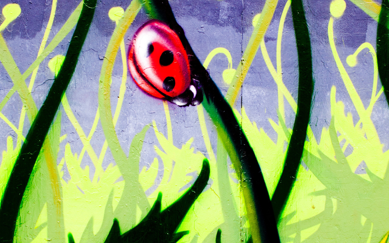 Ladybug Painting wallpaper 1280x800