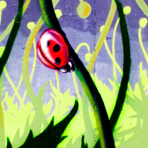 Ladybug Painting wallpaper 208x208