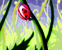 Обои Ladybug Painting 220x176