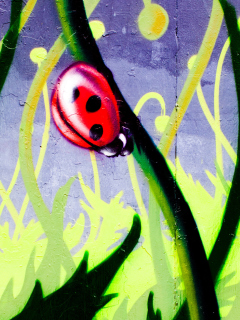 Ladybug Painting wallpaper 240x320