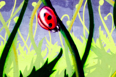 Das Ladybug Painting Wallpaper 480x320