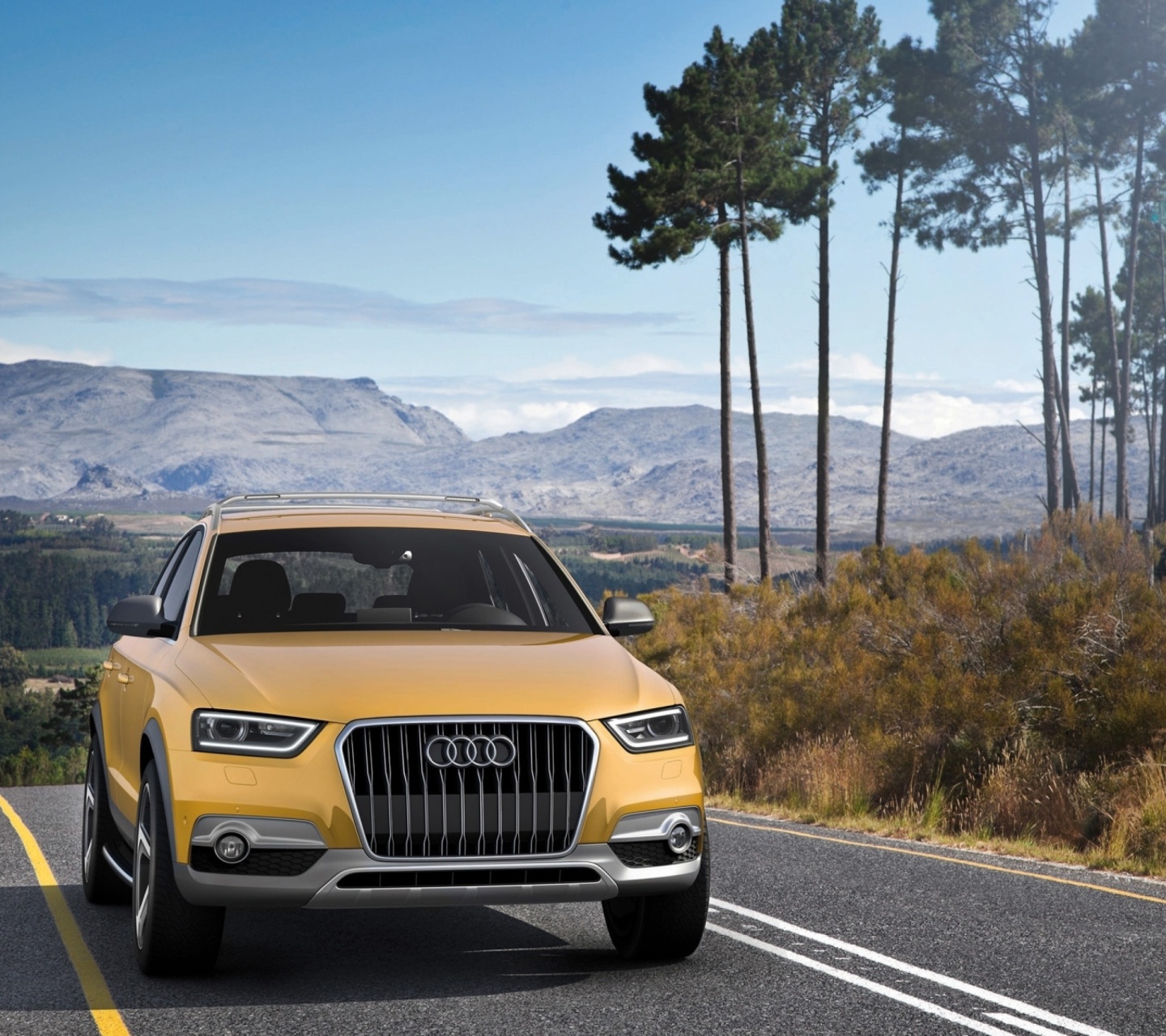 Audi Q3 wallpaper 1440x1280