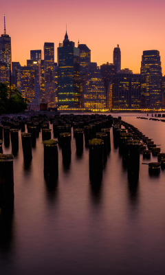New York City Downtown screenshot #1 240x400