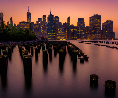 New York City Downtown screenshot #1 480x400