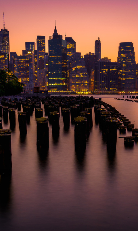 New York City Downtown screenshot #1 480x800
