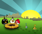 Das Angry Birds Game Wallpaper 176x144