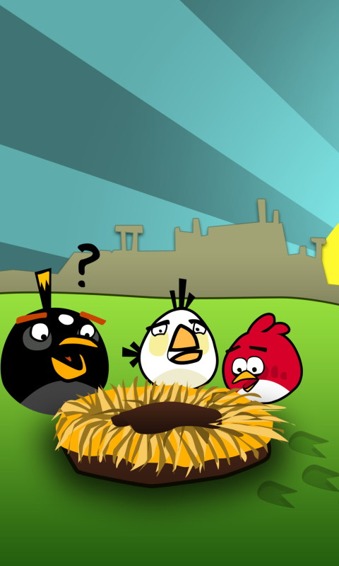 Das Angry Birds Game Wallpaper 480x800