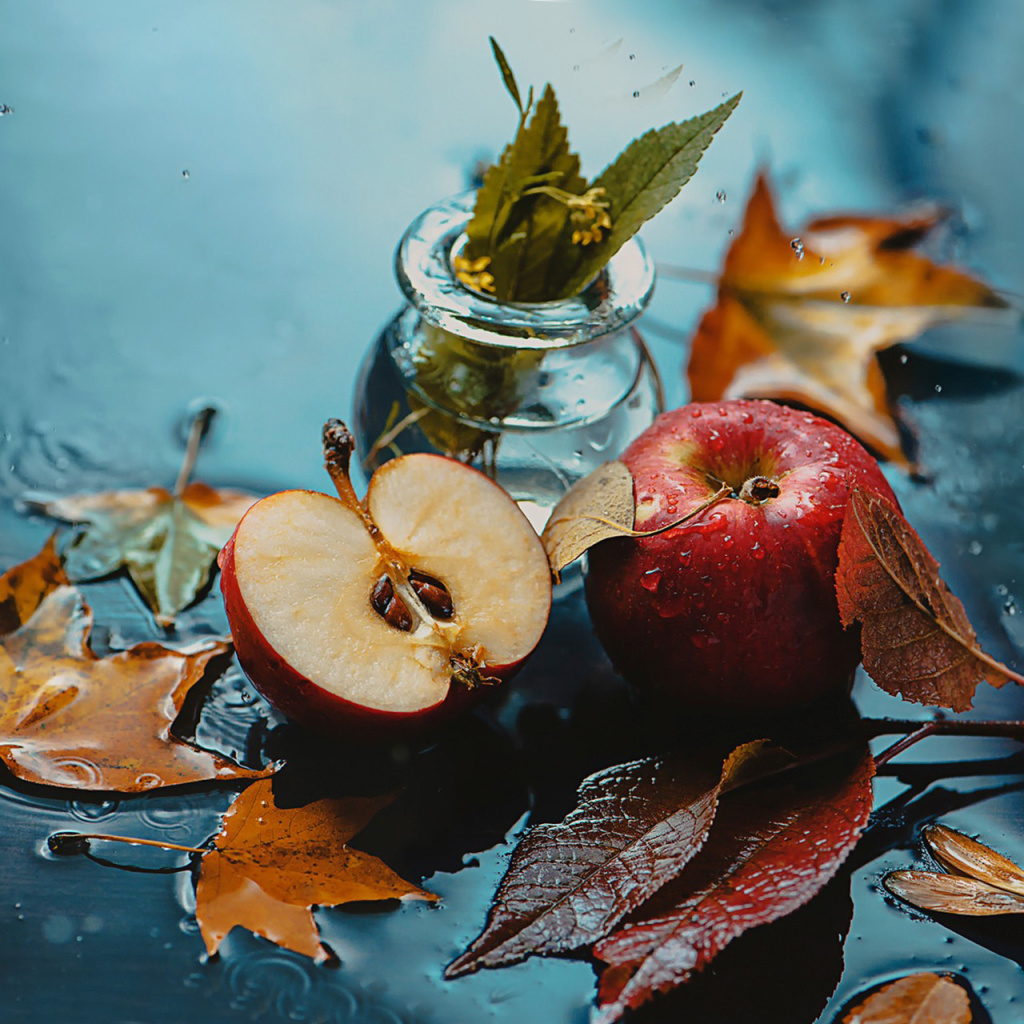 Sfondi Autumn Red Apple and Leaves 1024x1024