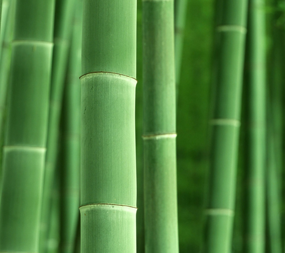 Das Green Bamboo Wallpaper 1080x960