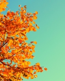 Autumn screenshot #1 128x160