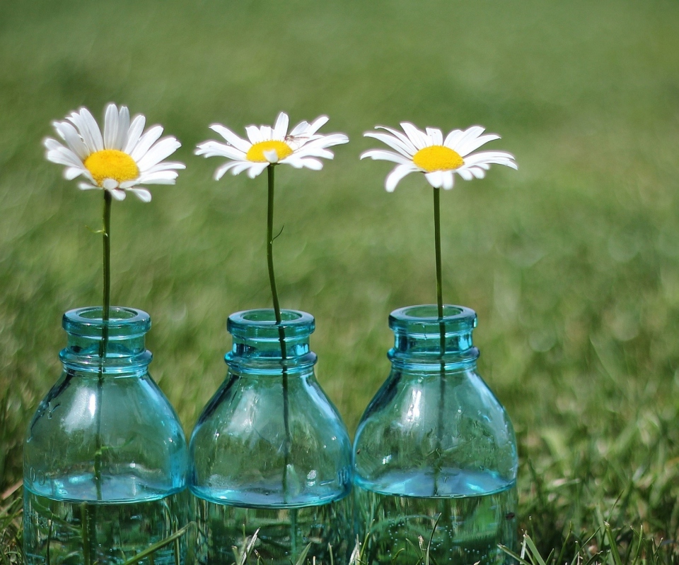 Обои Daisies In Blue Glass Bottles 960x800