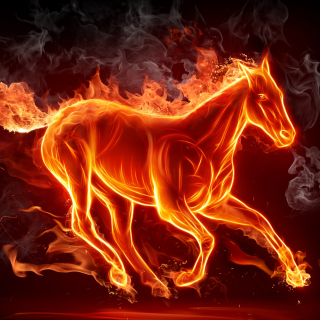 Fire Horse sfondi gratuiti per 1024x1024